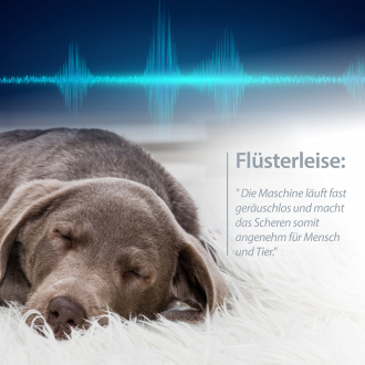 Flüsterleise bildlich dargestellt