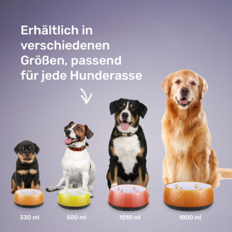 Verschieden große Hunderassen abgebildet