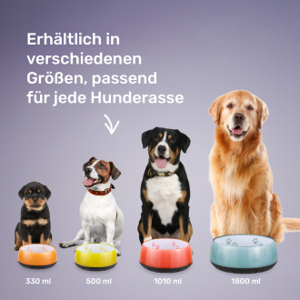 Verschieden große Hunderassen abgebildet