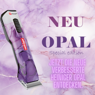 Werbung Heiniger
