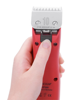 Maschine liegt in Hand mit Scherkopf nach oben