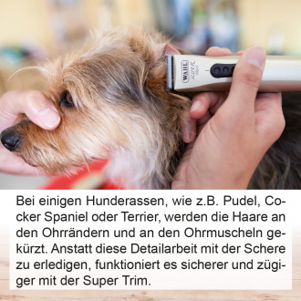 WAHL-kabellose-Hundeschermaschine-Super-Trim