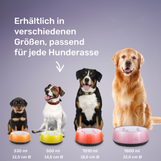 Verschiedene Rassen sitzen vor dem Napf