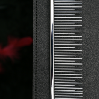 Großaufnahme Kamm liegt auf Hülle