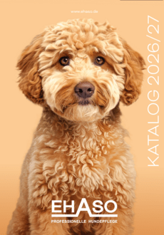 Katalogtitel