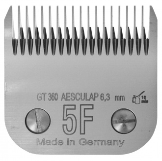Rückseite von Scherkopf