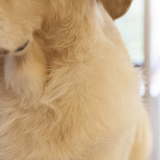 904256_scheren_kapitel_bildmaterial_16