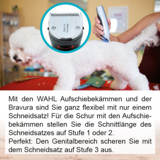 WAHL-Hundeschermaschine-Bravura-Lithium-Royal-Blue