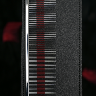 Kamm liegt auf Lederhülle großansicht