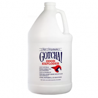 3,8 Liter Gallone in Frontansicht