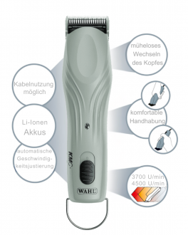 Maschine mit Eigenschaften abgebildet