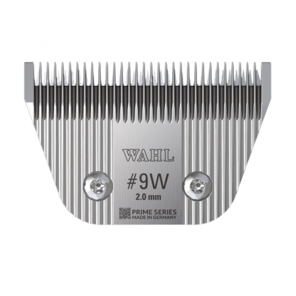 Frontaufnahme Scherkopf