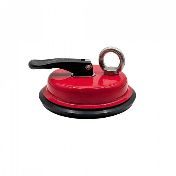 Saugnapf_seiten_ansicht