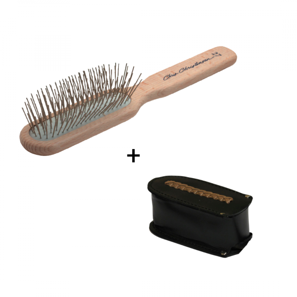 bürste mit lederhülle