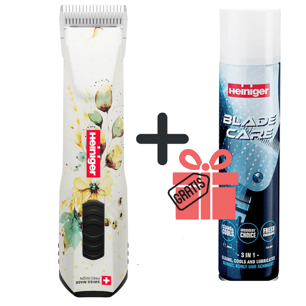 Gratis BladeCare Aktionswochen