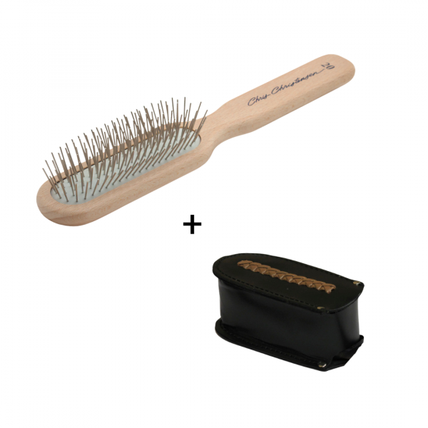 bürste mit lederhüle