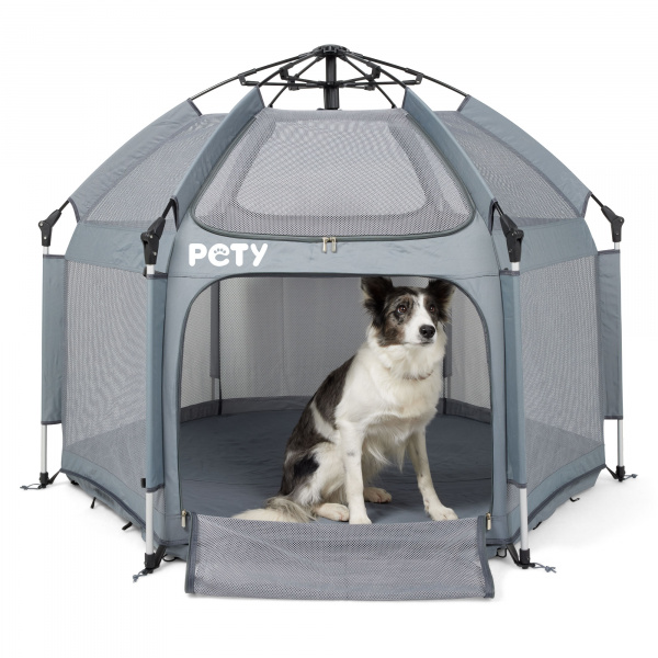 Hund sitzt im Pety