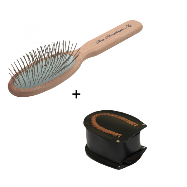 bürste und lederhülle
