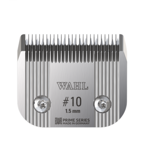 Frontaufnahme Scherkopf