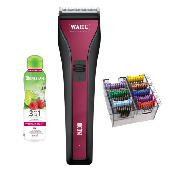 Maschine, Aufschiebekämme, Shampoo