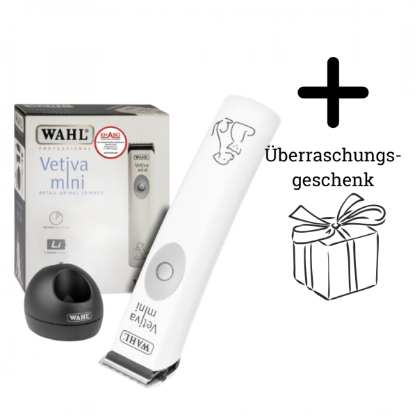 Maschine mit Akkuladestation vor Verpackung