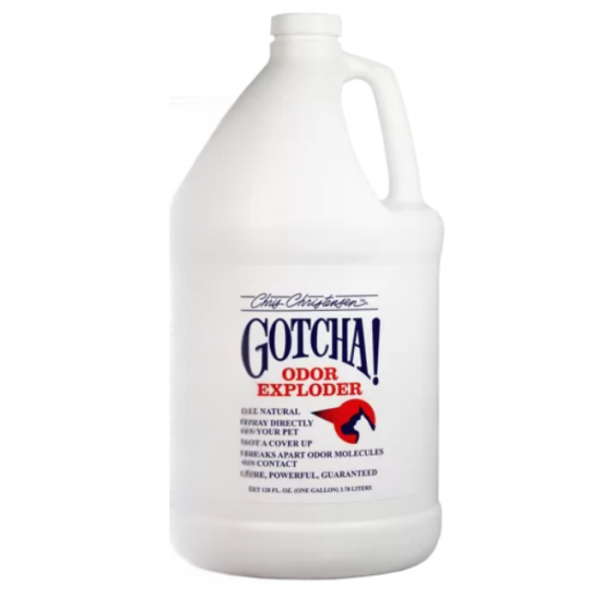 3,8 Liter Gallone in Frontansicht