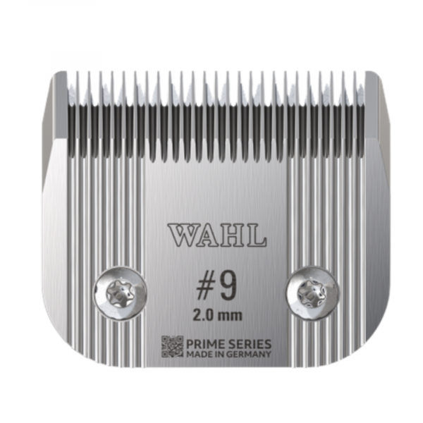 Frontaufnahme Scherkopf