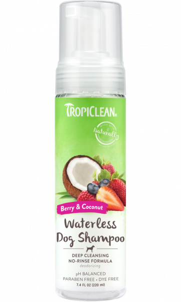 Tropi-Clean-Tiefenreinigendes-Trockenshampoo