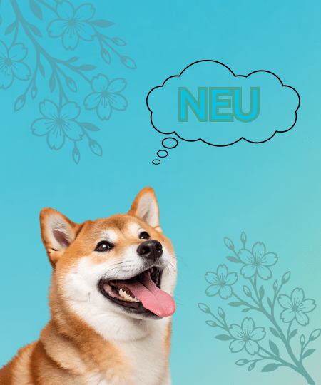 Schermaschinen und Zubehör