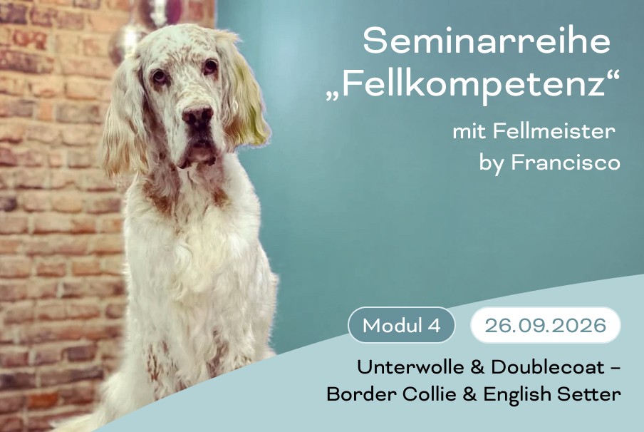 Seminarreihe Fellkompetenz mit Fellmeister by Francisco – Modul 4 – Unterwolle und Doublecoat bei Border Collie und English Setter – 29.09.2026