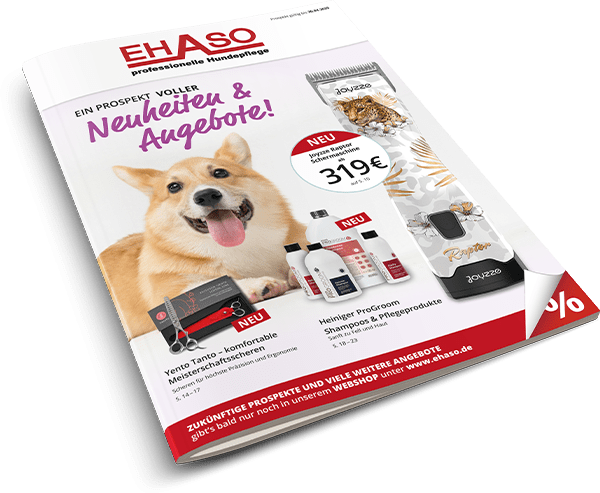 Titelseite des Ehaso-Frühjahrs-Mailings 2025