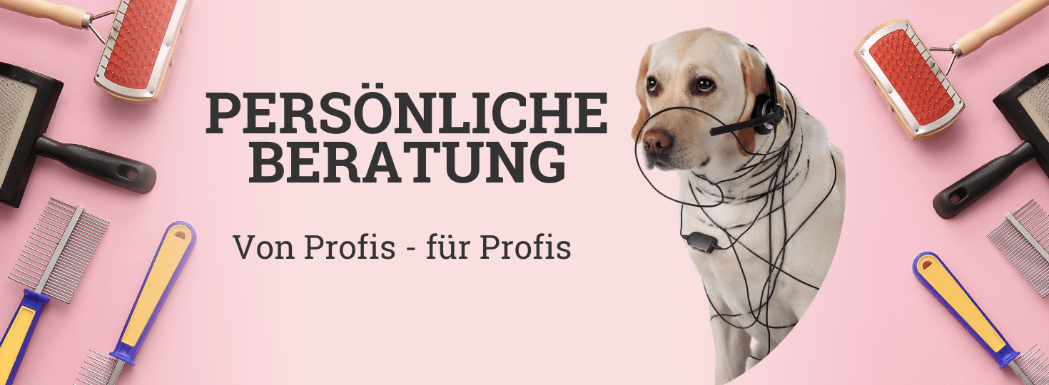 Service - Beratung zeigt Hund mit verheddertem Telefonkabel