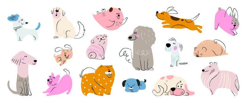 infografik mit gezeichneten Hunden zu deren Felltypen