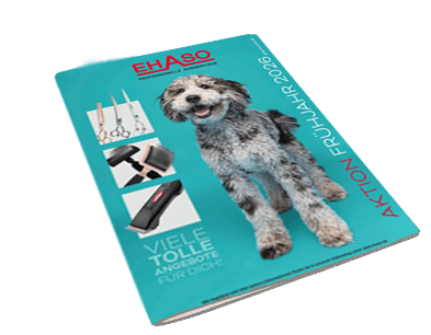 Titelseite des Ehaso-Frühjahrs-Mailings 2025