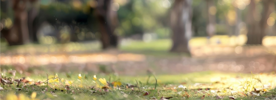 Newsletter Hintergrund