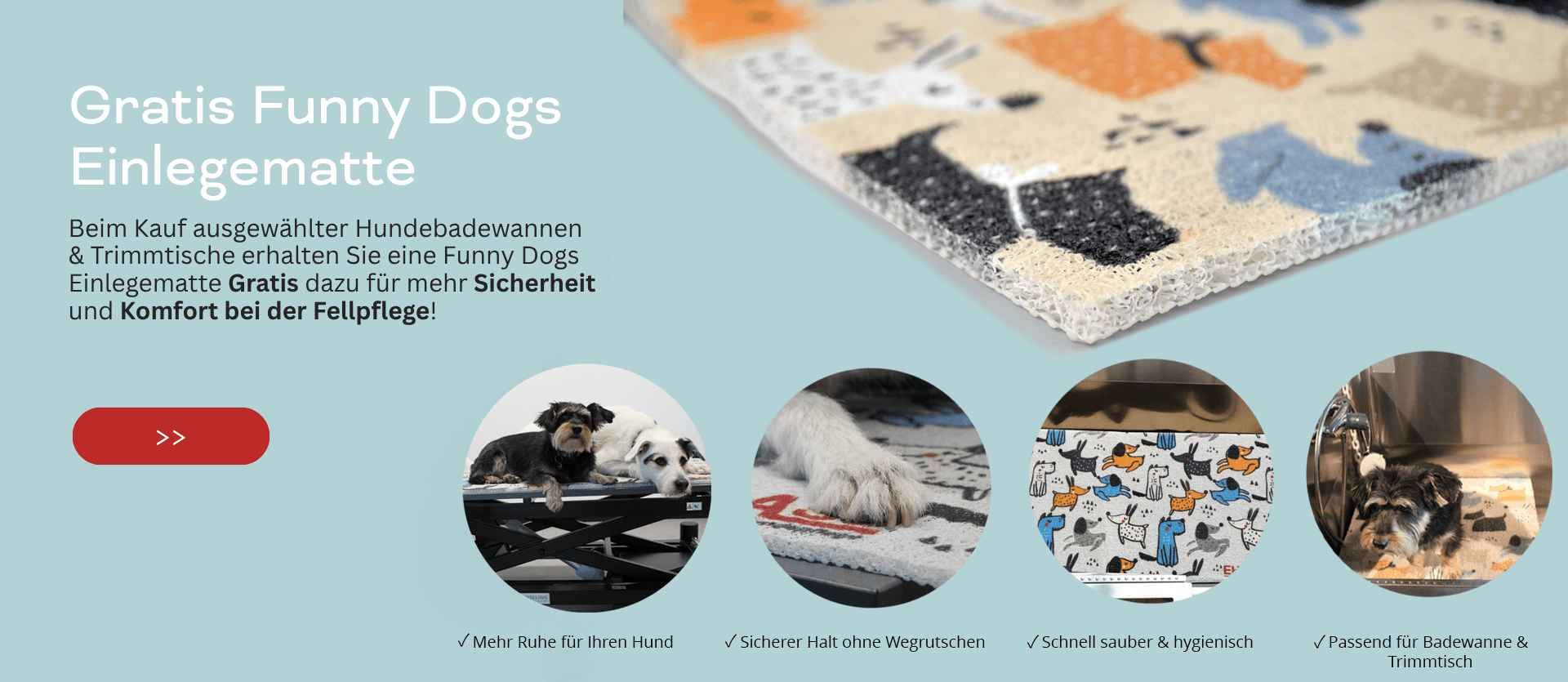 Alttext hier einsetzen